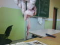 fisch sizieren..=) 62855770