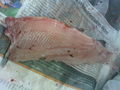 fisch sizieren..=) 62856303