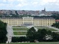 Tiergarten Schönbrunn 19.8.08 41607017