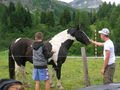 URLAUB..........kärnten 2009 64553064