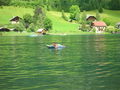 URLAUB..........kärnten 2009 64553336