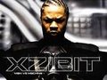 xzibit pass gaga 17420398