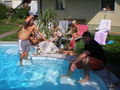 Poolparty bei Chrisi 43254915