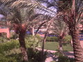 Sharm el Sheik / Ägypten 06 10235129