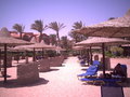 Sharm el Sheik / Ägypten 06 10235139