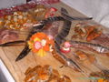 Fischbuffet 53775044