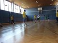 volleyballspielen in haag 73166936