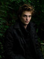 Robert Pattinson 55520477