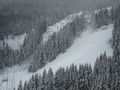 Saalbach Hinterglemm 2007 36783372