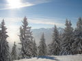 Saalbach Hinterglemm 2007 36783417