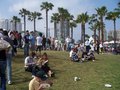 long beach festival 20261665