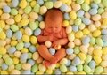 Anne Geddes 14397818