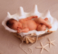 Anne Geddes 14397892