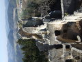 Ruine Prandegg 21359350