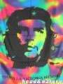 che guevara 4173045