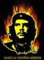 che guevara 4173065