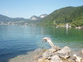 Wolfgangsee August 2010 74708594