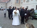 Hochzeit ANDREAS & ANGELA 42082605