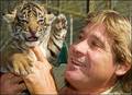 Steve Irwin 9209765