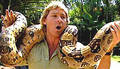 Steve Irwin 9209797