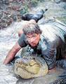 Steve Irwin 9209847