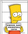 THE SIMPSON 17404951