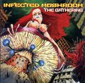 Infected Mushroom 25987823