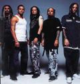 Korn 4764727
