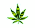 Weed 3825176