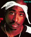 2pac 5155904