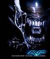 Aliens vs Predator 8522008