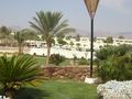 Urlaub Sharm El Sheikh 45451130