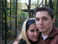 my honey and me 11396466