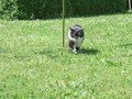 Meine kleine Nichte (und meine Katze 11418165