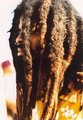 Dreads 16517219