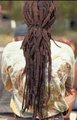 Dreads 16517250