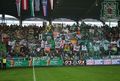 SK Rapid Wien 58083782