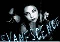 Evanescence 8873244