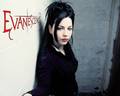 Evanescence 8873253