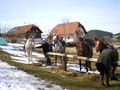 Geburtstagsfeier auf der Grünen Weide 36126042