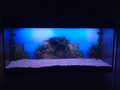 Mein Aquarium 20945649