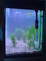 Mein Aquarium 21110977