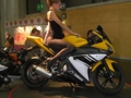 Bike 2008 33270394