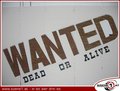 HTL-Ball (Wanted - Dead or alive) 14001215