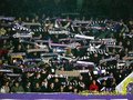 austria wien fotos 17447280