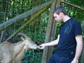 Tierpark Haag mit'n Alex 60514714