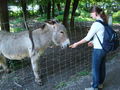 Tierpark Haag mit'n Alex 60517611