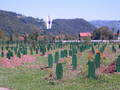 Srebrenica juli 1995 8866149