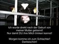 Tierschutz geht uns alle etwas an  74833696