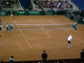 Daviscup 08- Österreich vs Amerika 34022710